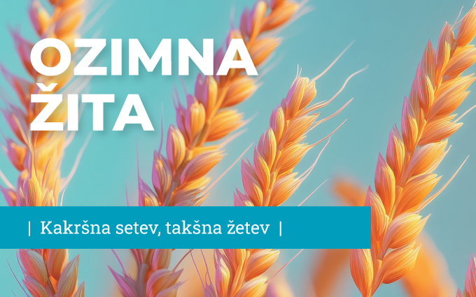 OZIMNA ŽITA 2025
