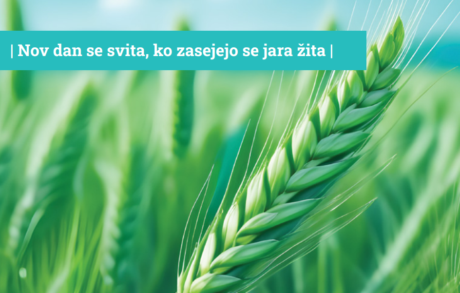JARA ŽITA 2025