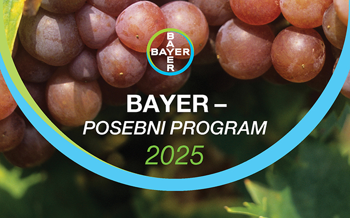 Bayer | Semenarna Ljubljana
