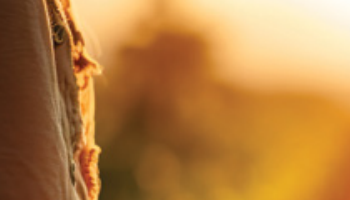 VELIKI VRTNI KATALOG 2026