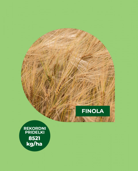 Ječmen FINOLA - odličen v stresnih pogojih