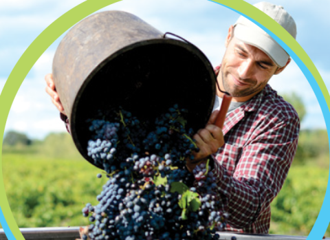 BAYER - POSEBNI PROGRAM 2026