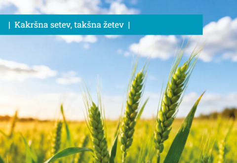 OZIMNA ŽITA 2026