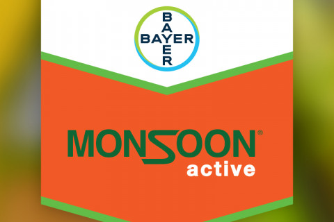 Monsoon Active - Varstvo koruze po vzniku