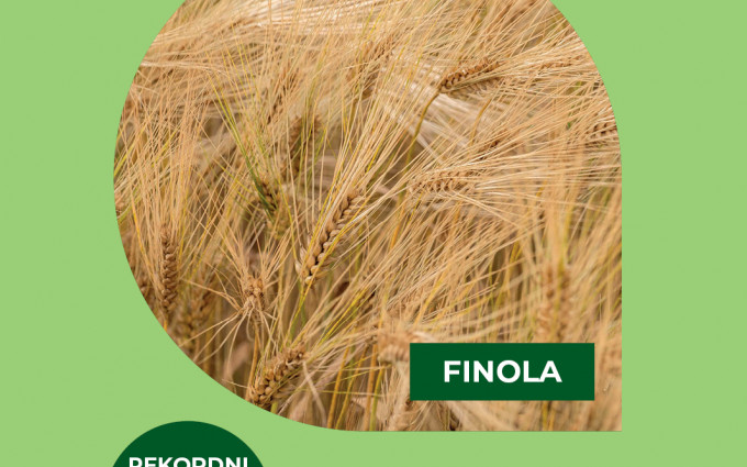 Ječmen FINOLA - odličen v stresnih pogojih