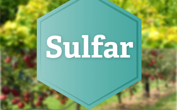 SULFAR – zanesljiv partner sredstvom proti pepelovki