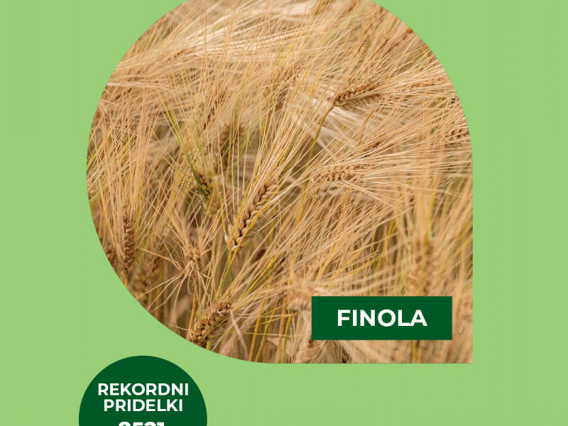 Ječmen FINOLA - odličen v stresnih pogojih