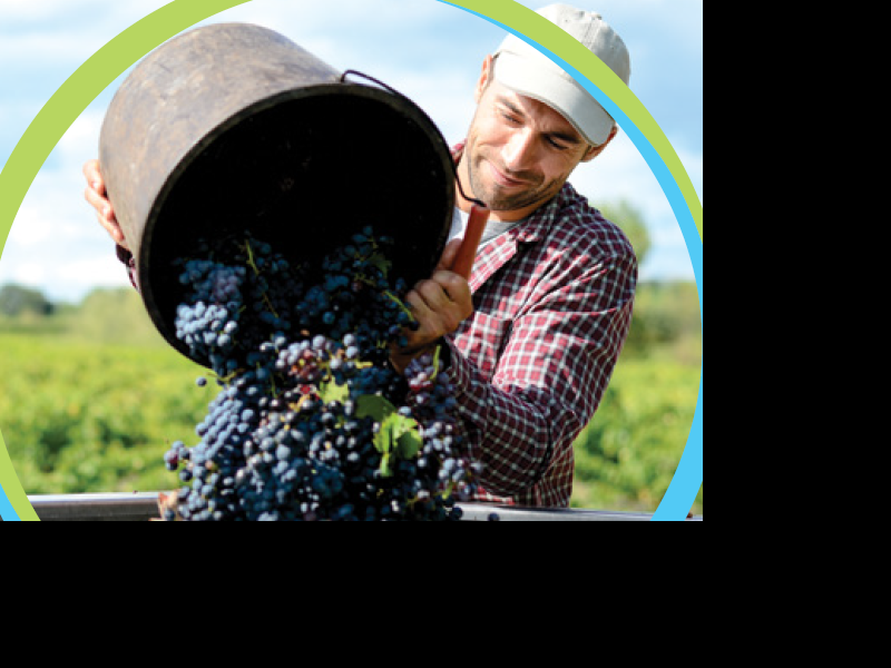 BAYER - POSEBNI PROGRAM 2026