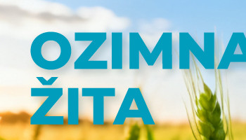 OZIMNA ŽITA 2026