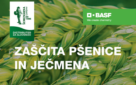 BASF Zaščita pšenice in ječmena