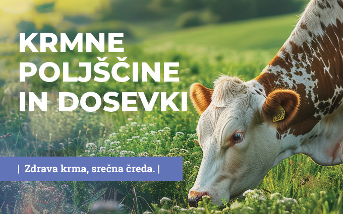 KRMNE POLJŠČINE 2026