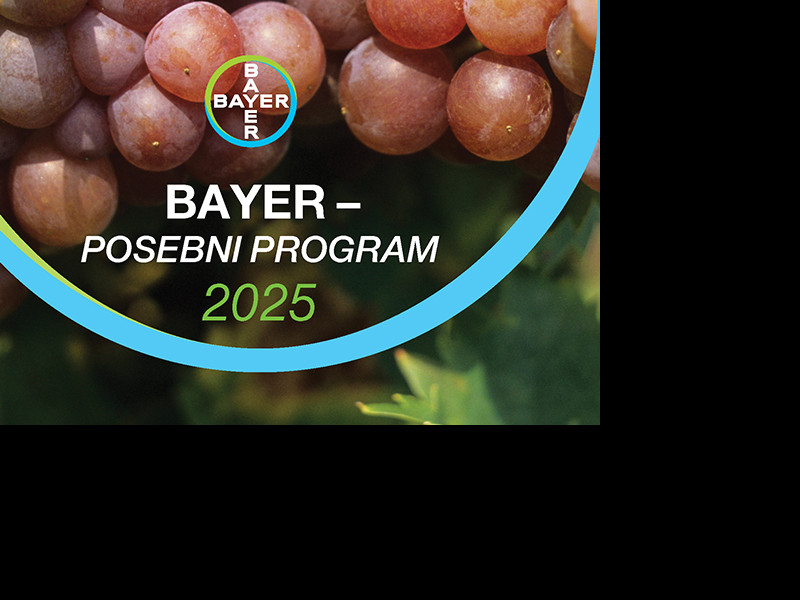 Bayer
