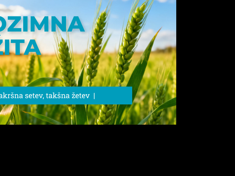 OZIMNA ŽITA 2026